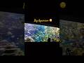 Toronto zoo Aquarium 🐟🐠#shorts #shortsfeed #torontozoo #viral #ytshorts #fishaquarium #aquarium