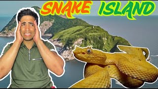 Il MISTERO di SNAKE ISLAND🏝️ l'isola abitata da 4000 serpenti velenosi🐍