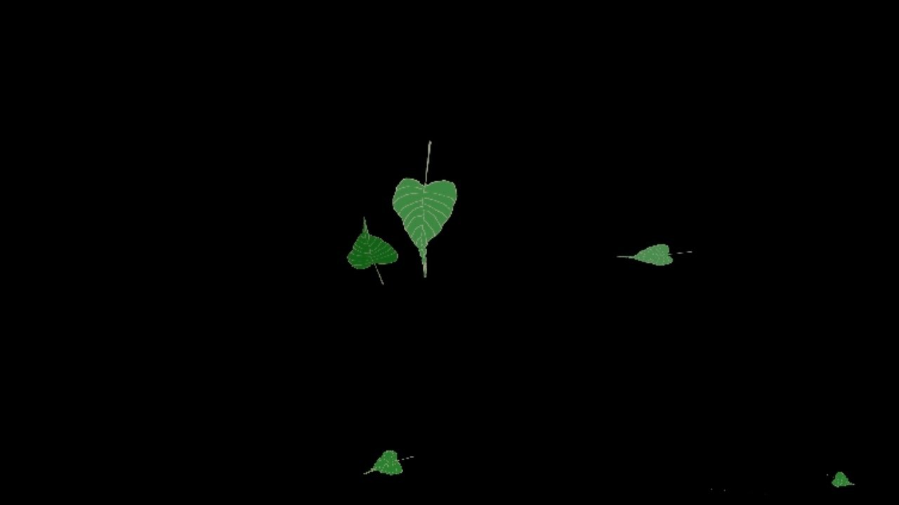Falling Green leaves Black Screen Effect