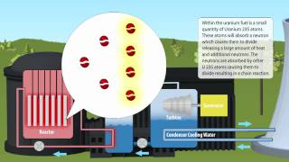 Cameco Fuel Cycle - Electricity Generation