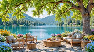 Summer Day at Calm Porch Ambience 🌿 Relaxing Piano Music, Nature Sounds for Reading & Calm screenshot 2