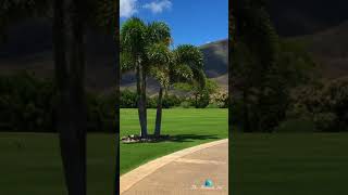 Paradise in Maui | Breathtaking Luxury Estate Driveway | 454 Wailau Pl, Lahaina, HI, USA 🇺🇸 #shorts