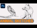 Animal sketch 01  digital drawing