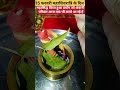15 फरवरी महाशिवरात्रि के दिन महा सिद्ध किया हुआ प्रयोग जो अंबानी परिवार आज तक भी करते आ रहे हैं l