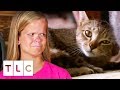 The Girls Rush Their Pet Cat River To The Animal Hospital | 7 Little Johnstons