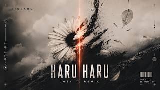 Download lagu Big Bang - Haru Haru (Joey T. Remix)