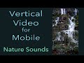 Nature Sounds-8hr. Forest Birds Singing-Waterfall Sound-Relaxing Calm Sleep-Vertical Mobile Video