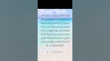سورة البقرة الآيتان (102-103)