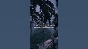 سورة الروم || آية ٤-٦ (Surah Ar-Rum) ﷽ #quran  #قرآن  #yasseraldossari