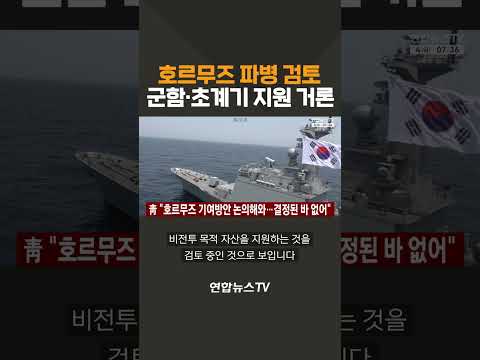 호르무즈 파병 검토…군함·초계기 지원 거론
