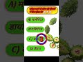 करेला खाने से कौन-सी बीमारी ठीक होती है? 🤔 | 99% लोग गलत जवाब देते हैं 😱