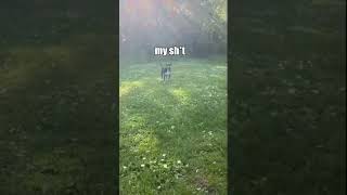 9gag memes 004