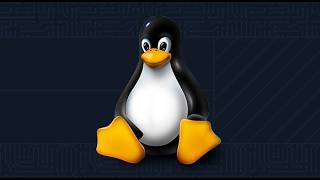 SUMMER RESEARCH INTERNSHIP IN ADVANCED BIOINFORMATICS | Day 5 | Linux for Bioinformatics