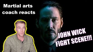 Martial arts coach reats to John Wick!