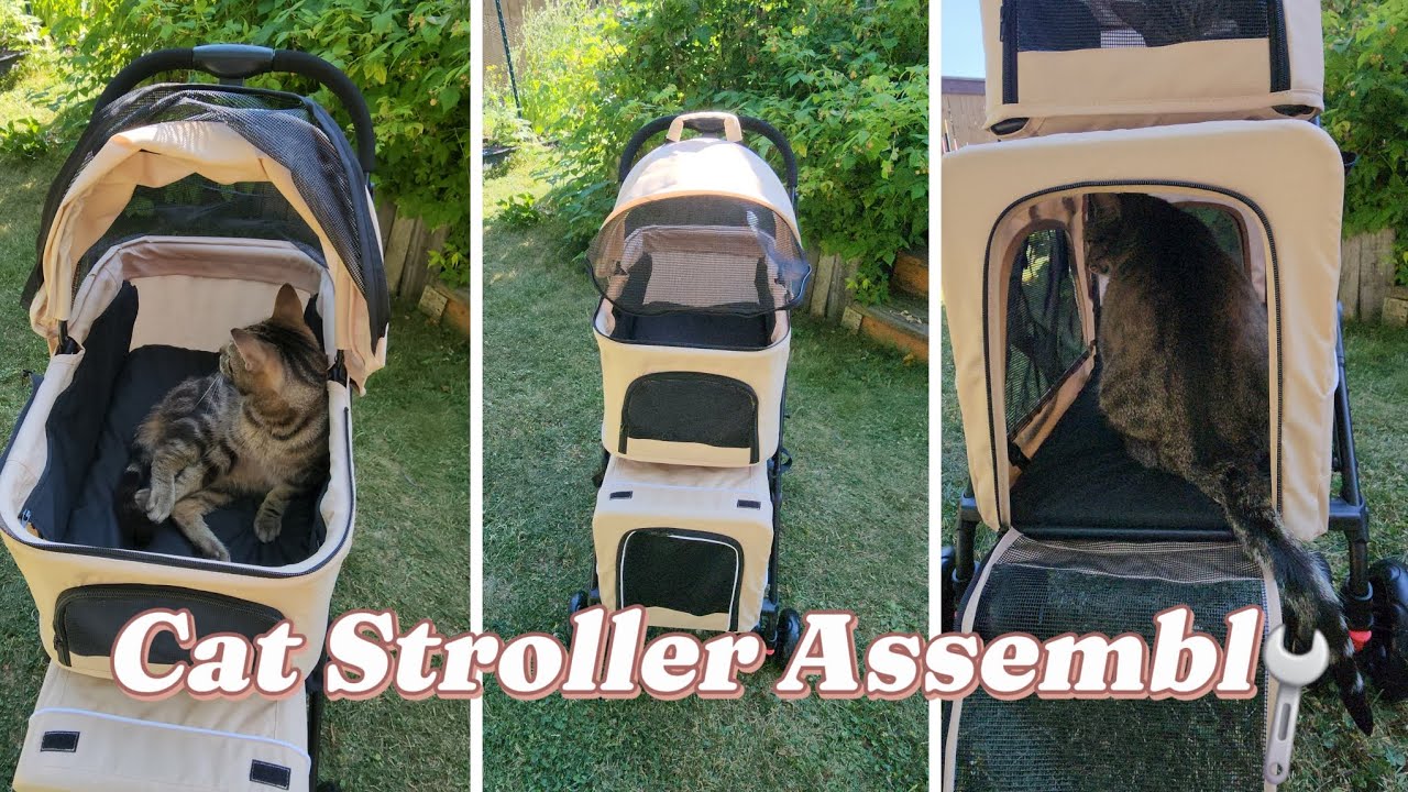 Cat Stroller Assembly 🐈