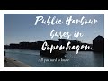 Harbour buses in Copenhagen - what you need to know