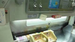 Datien Cutting Business Card - 2