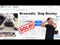 PUTTING OUR DOG UP FOR SALE! *Crazy Reaction*