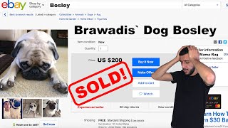 PUTTING OUR DOG UP FOR SALE! *Crazy Reaction*