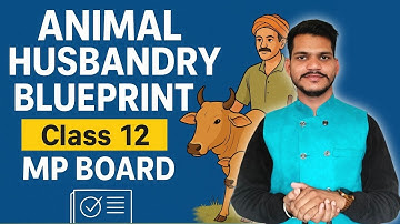 Class 12 Agriculture Animal Husbandry Blueprint 2025 | MP Board Blueprint PDF & Marking Scheme