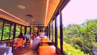 What is like to travel in a LUXURY TRAIN in BRAZIL across the Atlantic FOREST