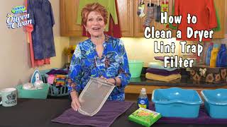 Cleaning a Dryer LINT TRAP FILTER - Queen Of Clean Cleaning Tip Video