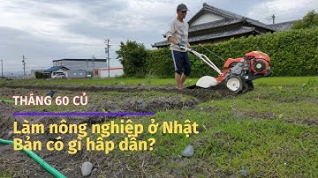 Một ngày làm nông nghiệp ở Nhật Bản có gì khác với Việt Nam