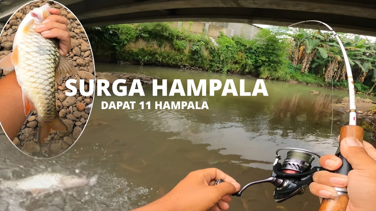 GILA SIH INI ‼️ SAMBARAN NYA RAME BANGET !! CASTING HAMPALA