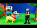 Puppy Dog Pals Gets Zapped into Spooky Characters with PJ Masks