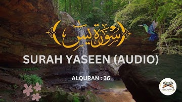 Surah Yaseen (Yasin) | Mishary Rashid Alafasy |الشيخ مشاري راشد العفاسي| سورة يس #alquran