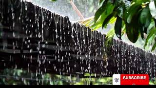 Calming Piano Music with Rain & Thunder Sounds | Deep Sleep & Relaxation