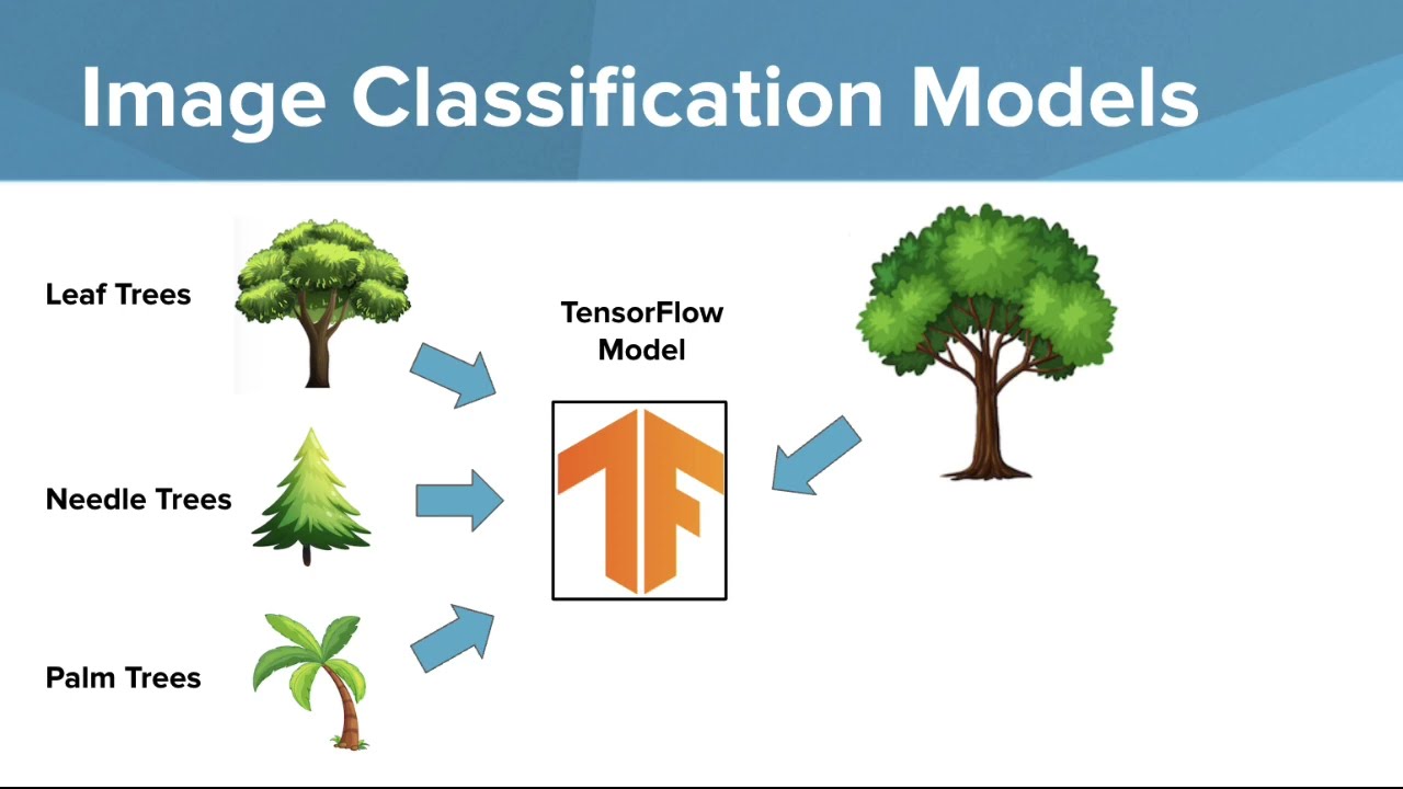 Image Recognition Models