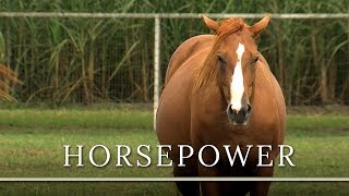 Horsepower