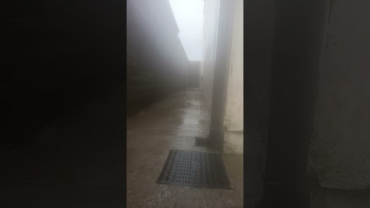 Gentle raining  ☔ sound for relaxing 