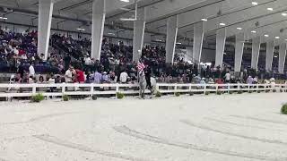 Live from The World Equestrian Center, Ocala, FL