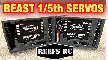REEFS RC BEAST 1000 AND BEAST 2000 5th SCALE SERVOS