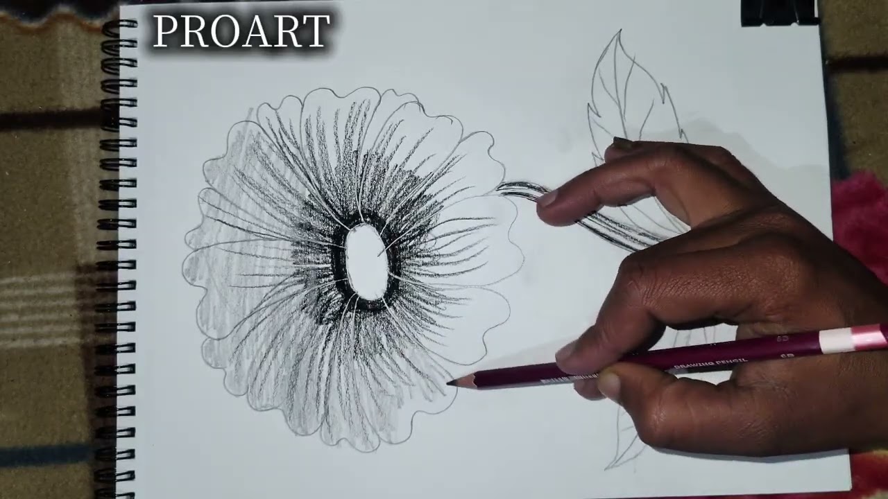 HYBRID ZINNIA drawing with pencil, how to make flower 💐, drawing with pencil, drawing for beginners 