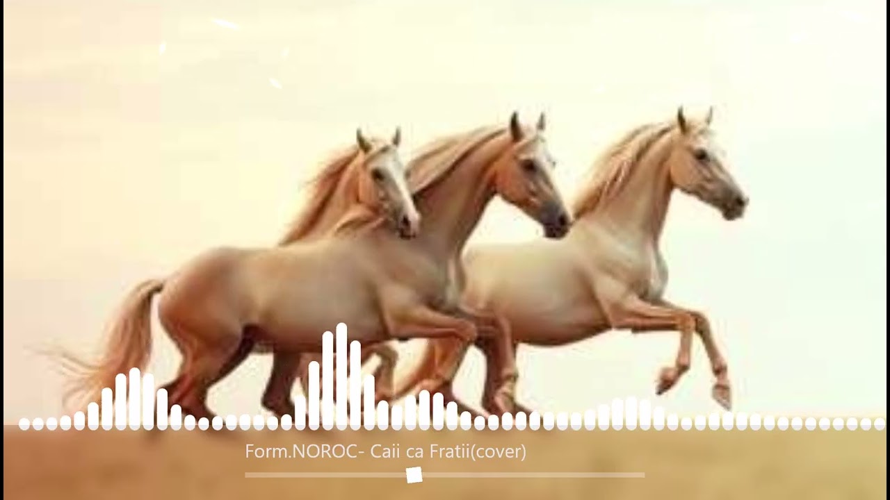 Form NOROC  Caii ca Frațiicover