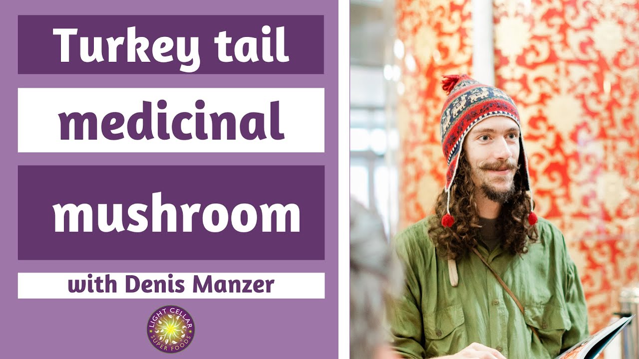 The Immunity Medicinal Mushroom I Meet the Experts YouTube