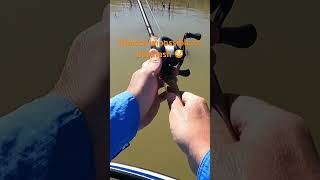 Is this the best value in baitcasting reels? #bassfishing #fishing #lewsfishing
