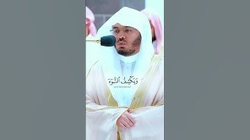 أَمَّن يُجِيبُ الْمُضْطَرَّ إِذَا دَعَاهُ ~ تلاوة عراقية مؤثرة تخشع لها القلوب للشيخ ياسر الدوسري 😢💔