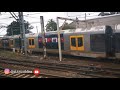 One trip train riding in Sydney