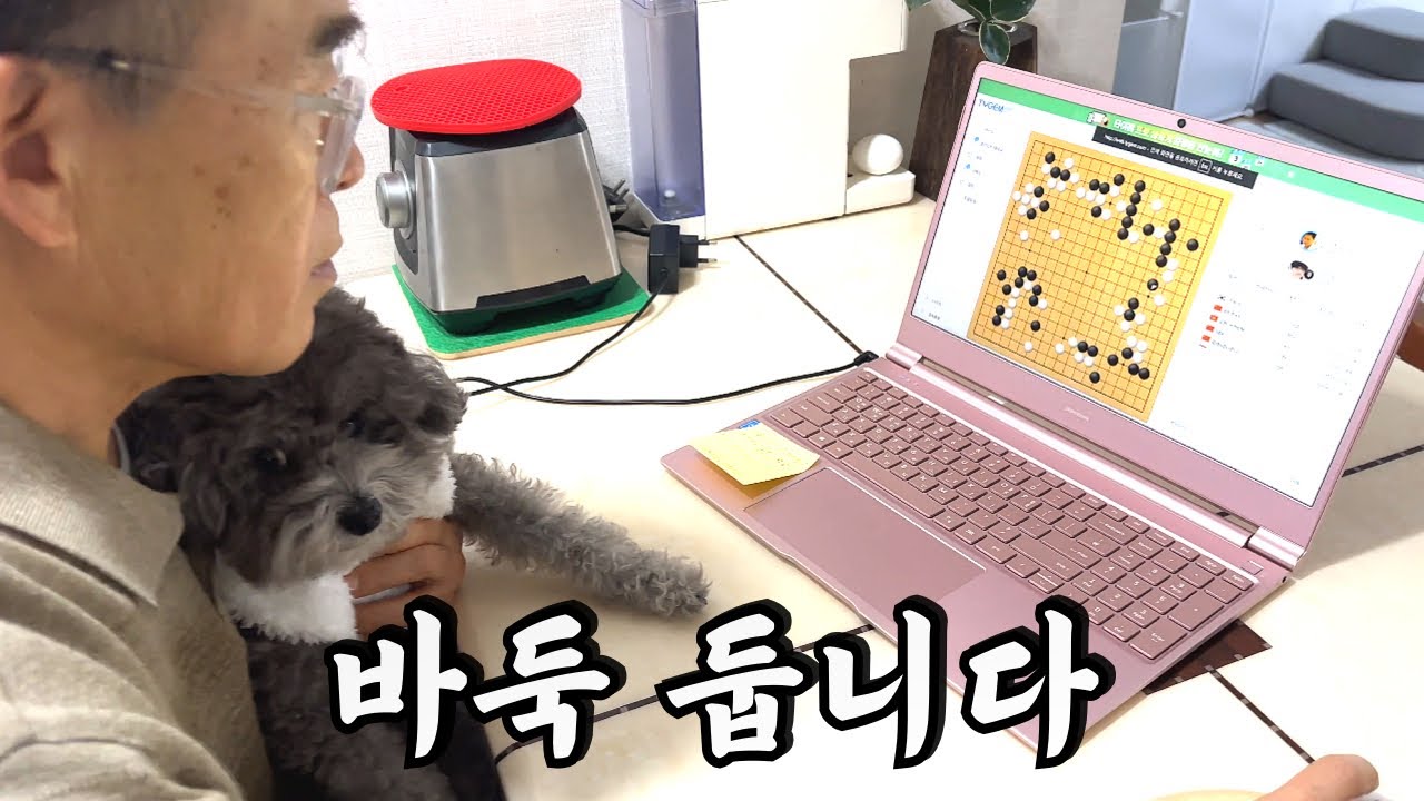 아버지는 개 훔쳐 가서 뭐 하시나요???