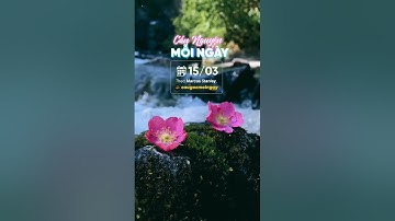 15/03 Cầu Nguyện Mỗi Ngày - với 𝙈𝙖𝙧𝙘𝙪𝙨 𝙎𝙩𝙖𝙣𝙡𝙚𝙮, biên tập Câu Gốc Mỗi Ngày