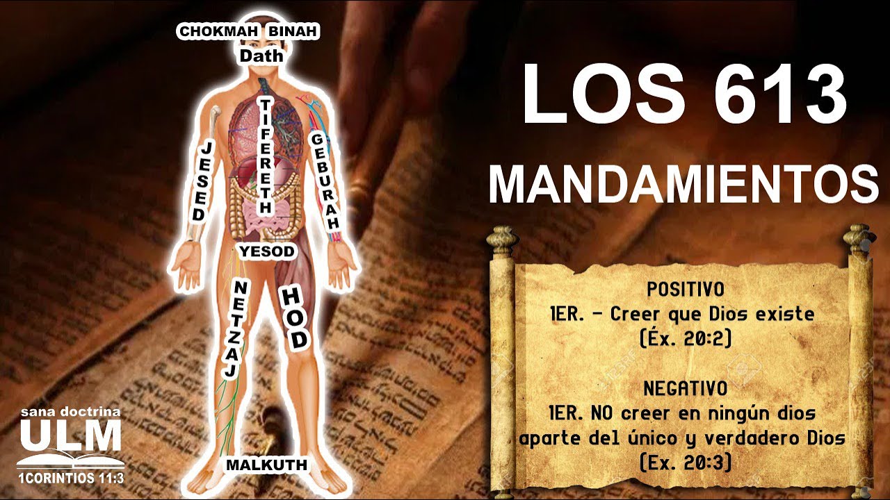 LOS 613 MANDAMIENTOS 1ER POSITIVO Y 1ER NEGATIVO YouTube LOS 613 MANDAMIENTOS 1ER POSITIVO Y 1ER NEGATIVO YouTube
