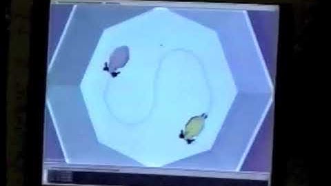 Tape #022 9-12 April 1995 - ACM SIGGRAPH Symposium on Interactive 3D Graphics - Tape 1