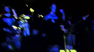 Float Face Down Live, Final Show 2014