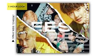 Stray Kids (스트레이키즈)  'CHEESE' || 1 HOUR LOOP