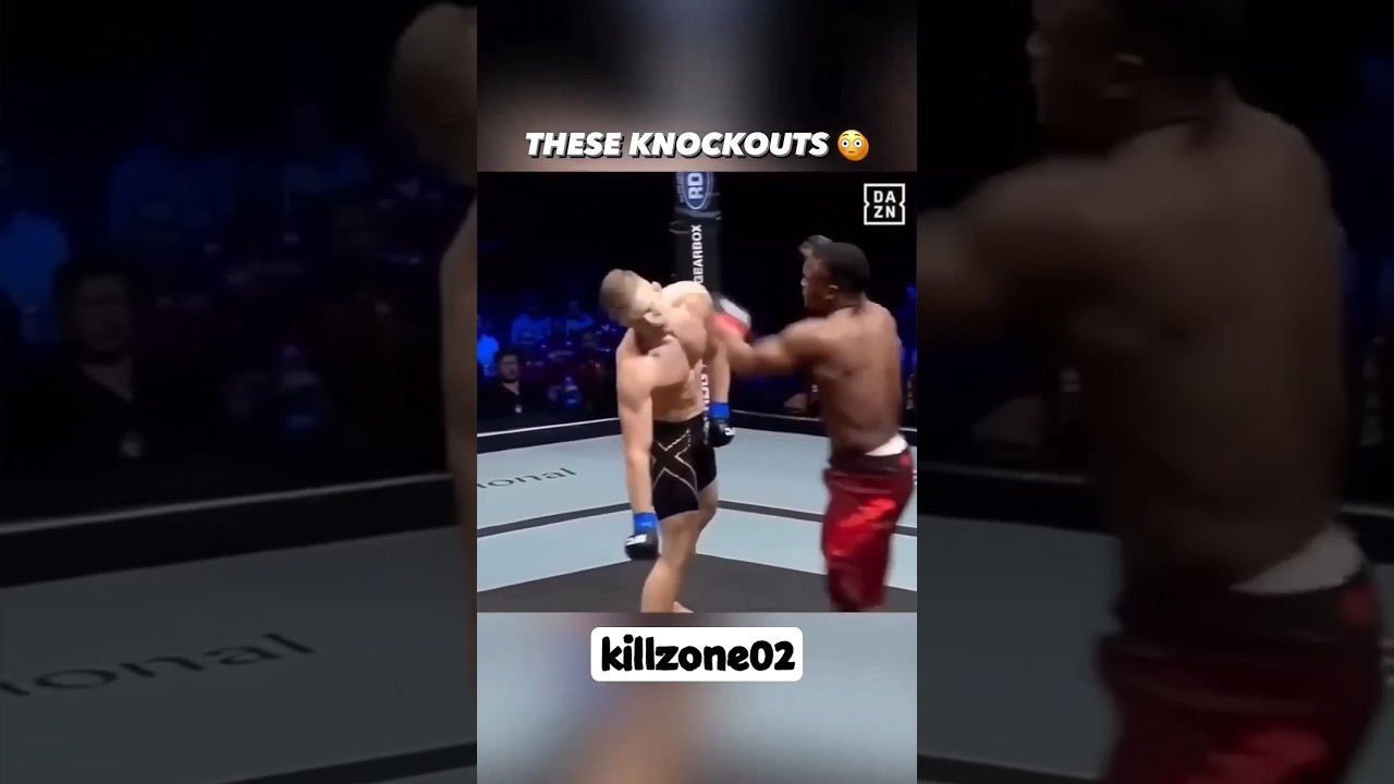 Best knockouts ever in MMA