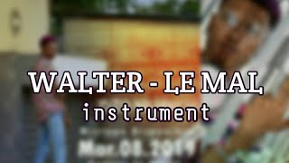 WALTER - LE MAL ( instruments )